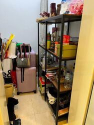 Angullia Park Residences @ Orchard (D10), Apartment #455104871